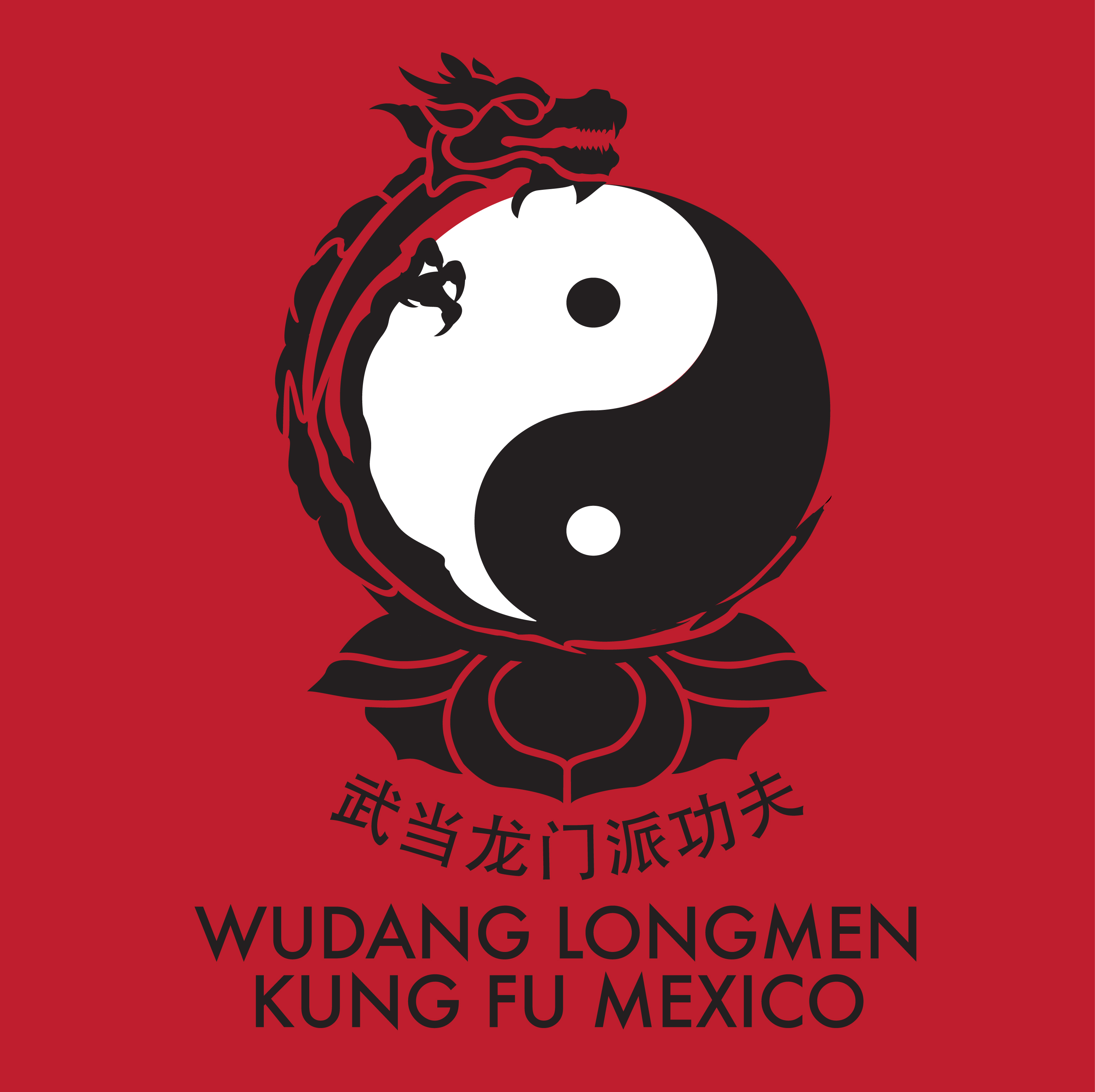 wushu, taijiquan, qigong, kung fu, artes marciales